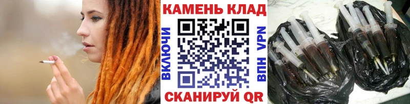 продажа наркотиков  Каргат  darknet наркотические препараты  Гашиш индика сатива 