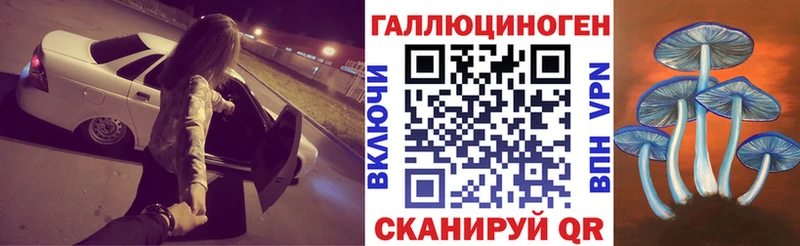 Галлюциногенные грибы Psilocybine cubensis  Каргат 